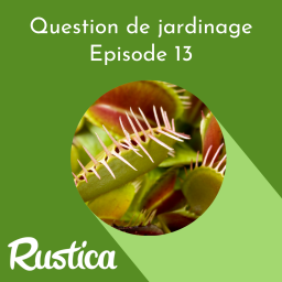 La culture des plantes carnivores