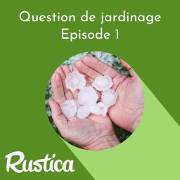 Intempéries : après l'orage et la grêle