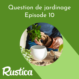 Rempoter ses plantes d'intérieur