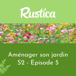 Transformer un gazon en prairie fleurie