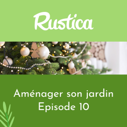 Bien choisir son sapin de Noël naturel