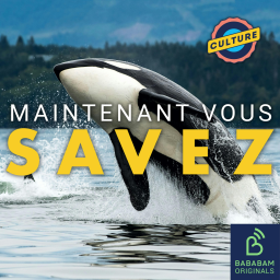A-t-on vraiment sauvé Willy ?