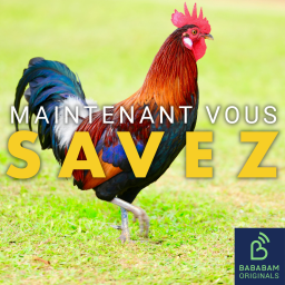 Pourquoi le coq est-il l’emblème de la France ?