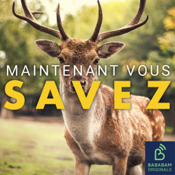 Qu’est-ce que l’effet Bambi ?