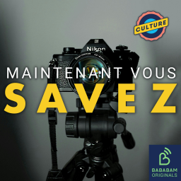 Que voit-on sur la toute première photo de l’Histoire ?