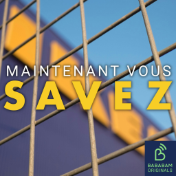 Qu'est-ce que l'effet Ikea qui influence le consommateur ?