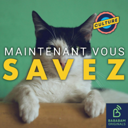 D’où vient l’expression “donner sa langue au chat ?”