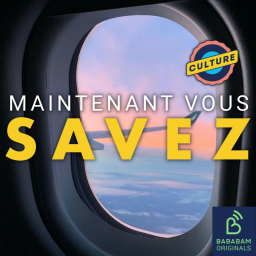 Pourquoi les films sont-ils censurés dans l'avion ?