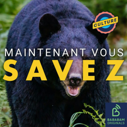 Quelle est la véritable histoire de Crazy Bear, l’ours cocaïné ?