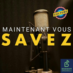 Pourquoi le doublage français est-il l'un des meilleurs au monde ?