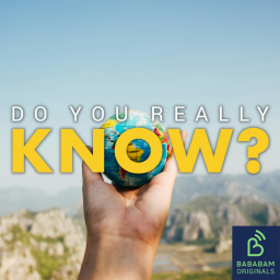 What are warming stripes?