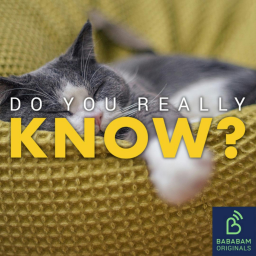 Are micro naps actually effective?