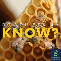 Why were the queen’s bees told of her death?