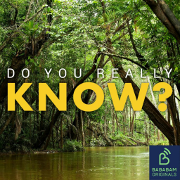 What does the future hold for the Amazon rainforest?