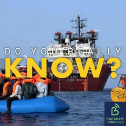 What is Ocean Viking?