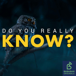 Can a night owl ever become an early bird?