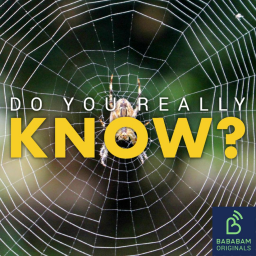 Can I cure my fear of spiders?