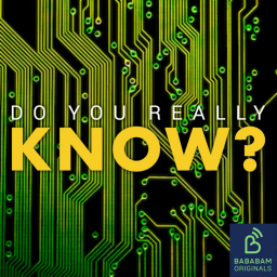 What is digital sobriety?