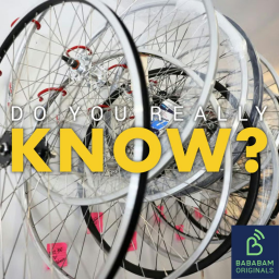 What is the global bike shortage?