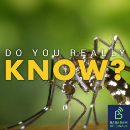 Why do I attract mosquitoes more than other people?