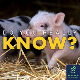 Why are mini animals so popular?