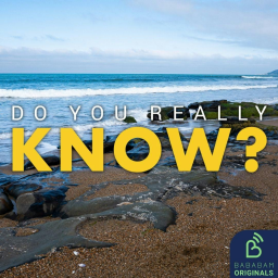 What is plasticrust, the latest concerning form of pollution?