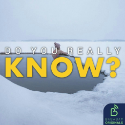 What is Sisu?