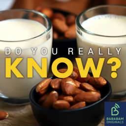 What are plant milks?