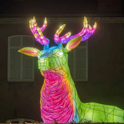 Nova Y Va :  L'Autre Noël de Nantes, le Voyage en Hiver