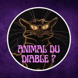 Le chat noir, créature démoniaque ? 🐈‍⬛