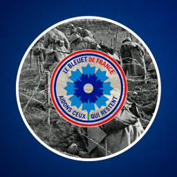 Qu'est-ce que le Bleuet de France ? 🇫🇷