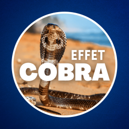 Culture G - Qu'est-ce que l'effet Cobra ? 🐍 (Il nous menace tous...)