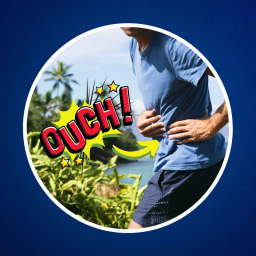D'où vient le point de côté ? 🏃‍➡️