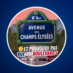 Culture G - Rue, avenue, boulevard : quelles différences ? 🏘️