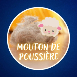 Pourquoi la poussière forme-t-elle des moutons ? 🐑