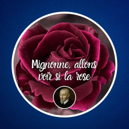 Mignonne, allons voir si la rose, de Pierre de Ronsard 🌹