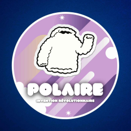 D'où vient la polaire ? 👕