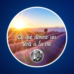 Ce qui donne un sens à la vie, d'Antoine de Saint-Exupéry 🫛