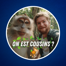 L'Homme descend-il du singe ? (C'est plus compliqué que ça... 🙈)