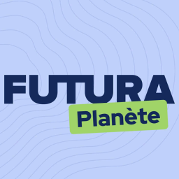 Futura News - A quoi ressembleront le Louvre et la Tour Eiffel en 2050 ?