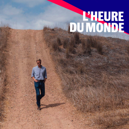 L’Heure du Monde - 600 jours à couvrir la guerre à Gaza : le récit de notre journaliste Samuel Forey