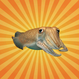 La seiche commune, véritable caméléon des mers !