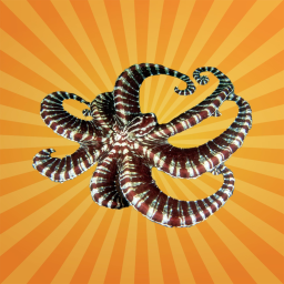 La pieuvre mimétique sait imiter plus de 15 animaux