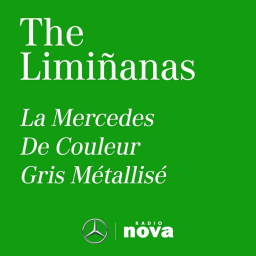 The Limiñanas - La Mercedes de couleur gris métallisé