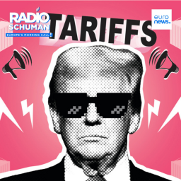 Radio Schuman - With Trump in power, Europe could buy LNG, airplanes and lower tariffs on cars, says Trade committee chief.