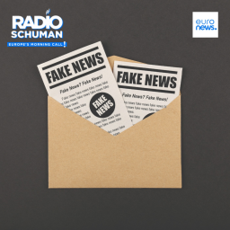 Radio Schuman - Which European countries were more exposed to disinformation in 2024?