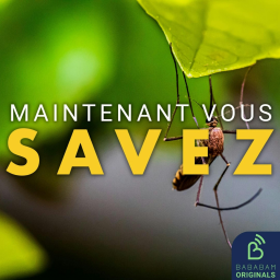 Pourquoi certaines peaux attirent-elles davantage les moustiques ?