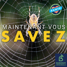 Peut-on soigner sa peur des araignées ?