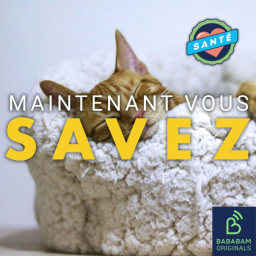 Qu’est-ce que notre position de sommeil révèle de nous ?