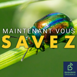 Qu’est-ce que le syndrome du scarabée ?